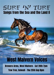 WMV Surf 'nTurf!